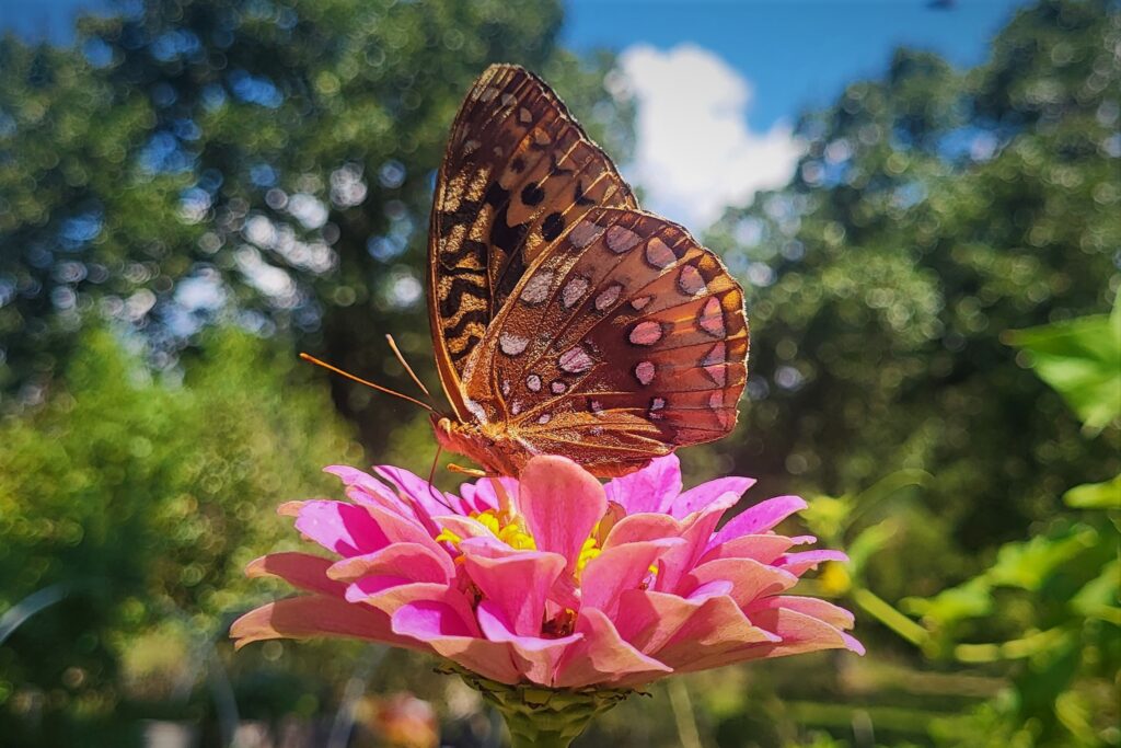 532605248_1345376377597431_6763473397530984482_n