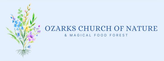 Ozarks Church Of Nature